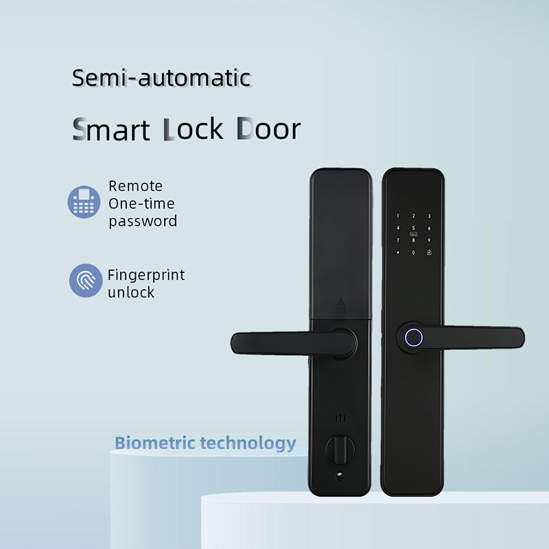 Fingerprint password semiconductor lock